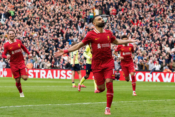 可能会选择 可能会选择