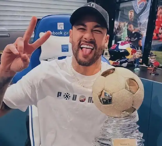 在商业或其 在商业或其