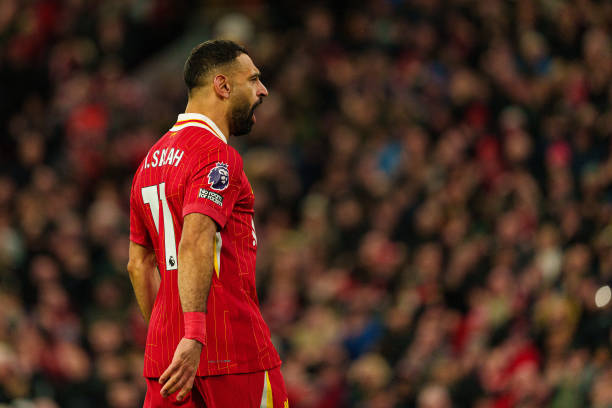 坚定的转会 坚定的转会